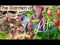 The Garden Of NEW Life Reynolds Family Update