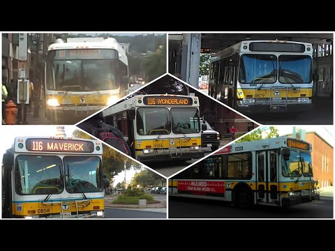 MBTA - Mini Bus Action: Summer 2018 Edition | PATRON REQEUST