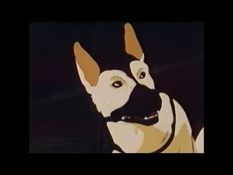 Erämaan kutsu - Puhumme Suomea