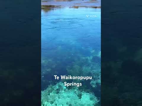 Largest fresh water springs in NZ. Crystal clear water. #nature #travel #newzealand