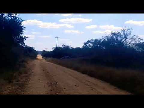 DJ Zinhle Black Motion Kabza De Small Nokwazi  Siyabonga Visualizer @junglefilms2860