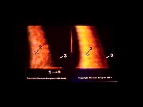 The Ringmakers of Saturn Lecture By Dr. Norman Bergrun
