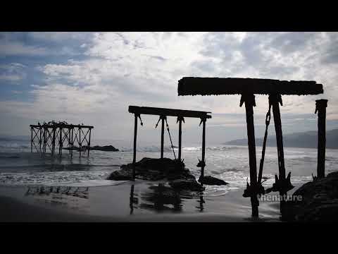 Playa Llico Vichuquén Maule Chile 11 