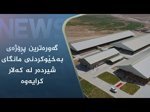 بەڤیدیۆ.. گەورەترین پڕۆژەی بەخێوکردنی مانگای شیردەر لە کەلار کرایەوە