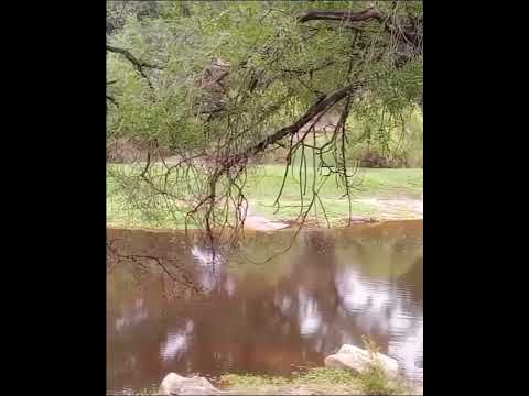 Río Cosquín, Córdoba, Argentina.#riocosquin