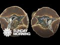 On the hunt for thundereggs