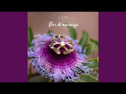 Qualquer Outra Coisa