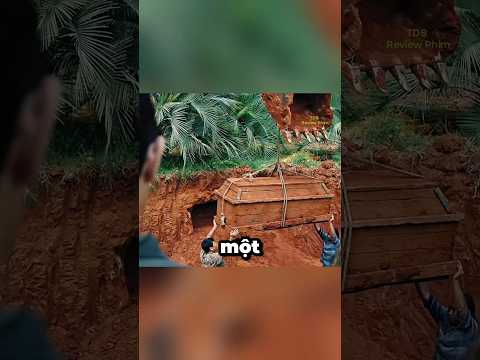 CÁCH MÀ NGƯỜI SĂN TRĂN LÀM MỒI ĐỂ DỤ TRĂN KHIẾN AI CŨNG NGỠ NGÀNG #youtubeshorts #reviewphim