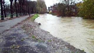 preview picture of video 'Wavre inondé 14/11/10 #9'