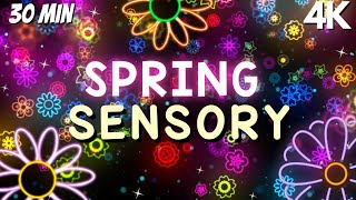 Sensory Videos for Autism Morning Happiness with Flower Visuals gameplay video by Vlarrabee, 30:37 duration