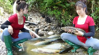 Fishing techniques, Unique fishing, Pumping water outside the lake, Catch many fish