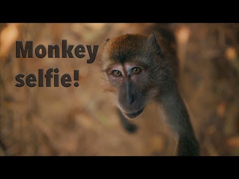 KHAO SOK JUNGLE TREKKING