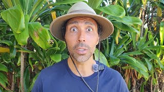 Gardening taught me these 3 values... (the OX mindset!) 🐂