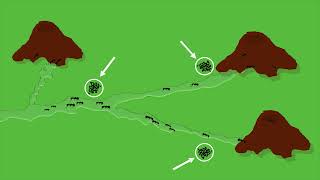 Controle de formigas cortadeiras