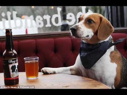 Frits Helmuth - Ølhunden