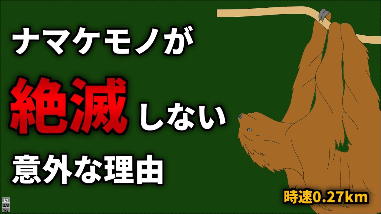 【満腹でも餓死】なぜナマケモノは絶滅しないのか？【解説】