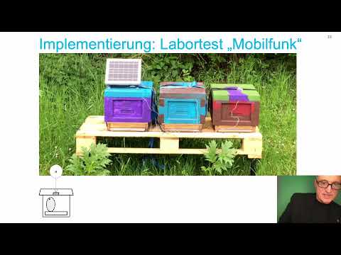 Digitalisierung der Bienenhaltung mit Methoden der Wirtschaftsinformatik   ARIS