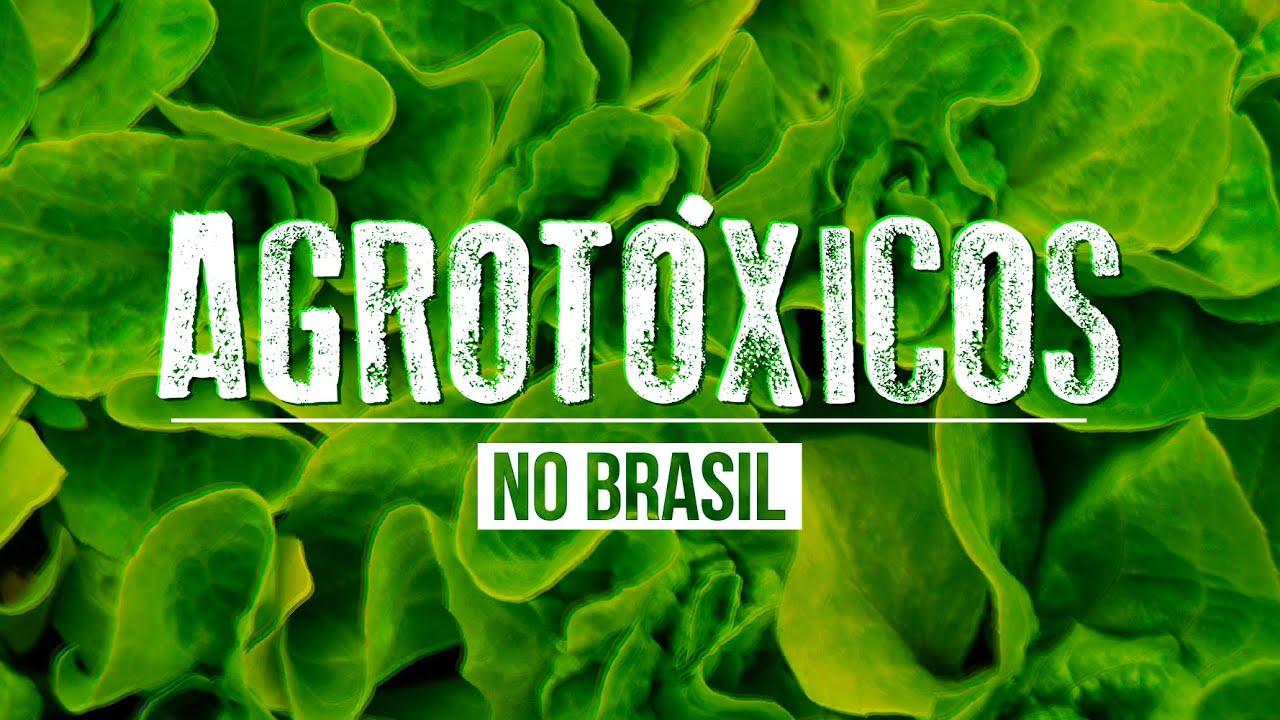 AGROTÓXICOS NO BRASIL: IMPACTOS NA SAÚDE E NO MEIO AMBIENTE | Atualidades e Redação para o Enem