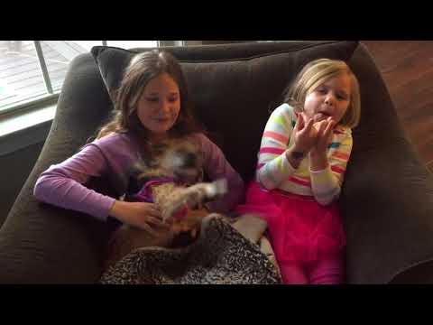 Lulu Rose's video
