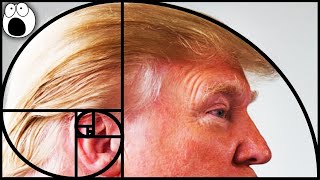 Top 10 Places You Won't Believe The Golden Ratio & Fibonacci Sequence Appears