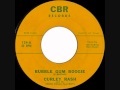 Curley Rash & The South Texas Playboys - Bubble Gum Boogie (vcl Jim McBride)