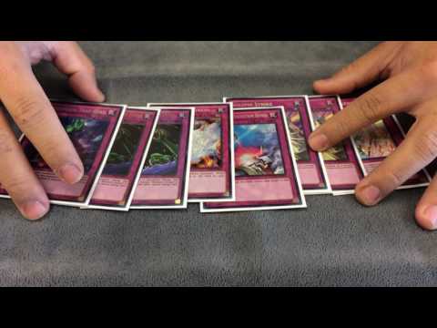 Top 32 Atlanta Regional Deck Profile Toadally Heroes Timoty Cha YUGIOH