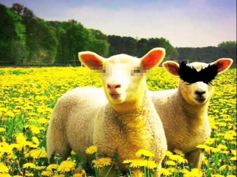 Washout (Mustard Pimp Remix) - StereoHeroes