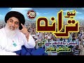 Dekho Dekho Kon Aya Muhammad Arbi Ka Din Aya New Full Naat New Trana By Shakeel Ashraf