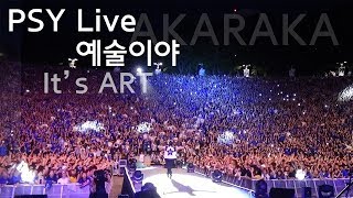 &#39;PSY Live 싸이 연세대 &#39;예술이야&#39; 떼창 &#39;It&#39;s Art&#39; @ AKARAKA 연세대 아카라카