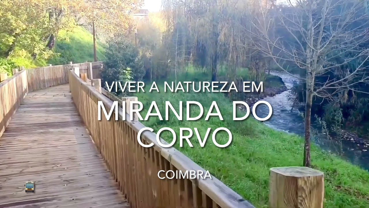 Vídeo do imóvel