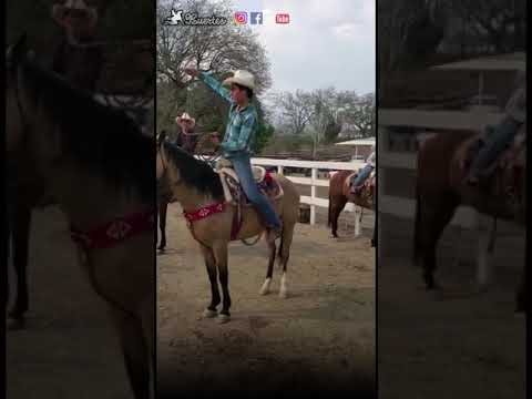 Friends' Pialadero - Tecolotlan, Jalisco - Toño Robles