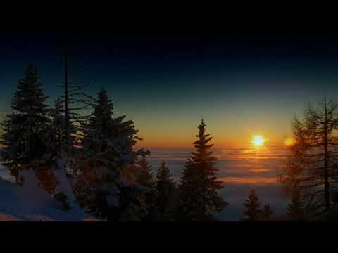 ANSAMBEL VITICA  PALA JE DIVNA NOČ