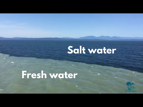 Fresh water meets salt water