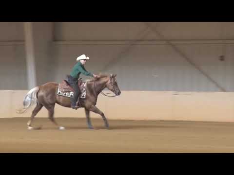 171105 Alice Medleycott ON  Shiney And Sweet Green