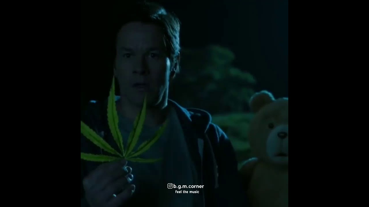 Weed🍁 | whatsappstatus | #weed | #teddymovie