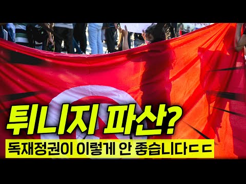 현재 국가부도 코앞인 튀니지 충격 근황