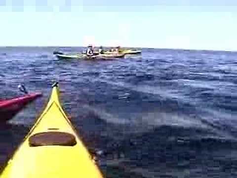 Whale encounter kayak Cape Breton Island, Nova Scotia, canad