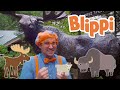 Blippi Visits The Wildlife Park Learn About Animals Educational Videos For Kids
