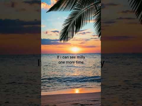 milly🙏#loved#cat#milly