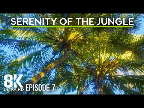 Incredible Jungle Sounds 8K - Lush Serenity of the Tropical Forest 8 HOURS - Episode 7