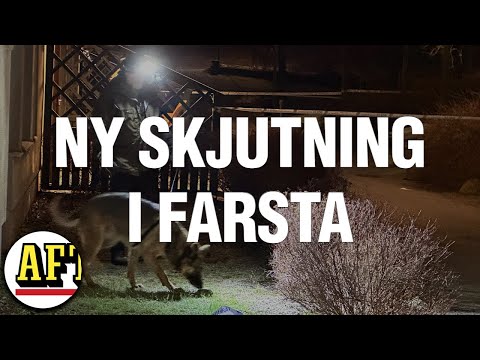 Skottlossning mot bostad: ”Klar bild av vad som hänt”