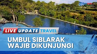 Asyiknya Liburan ke Klaten, Berendam di Kolam Renang Buatan Umbul Siblarak Jadi Pilihan Tepat