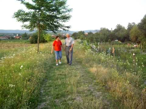 Alesd-,,,pe digul de la TILEAG,,,