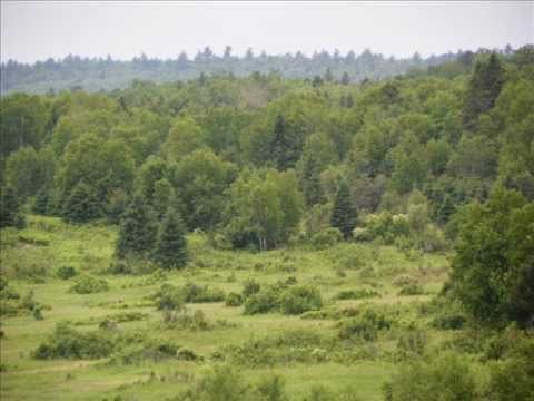 Summer Solstice 2011