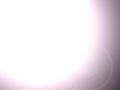 One True Media Green Logo Outro