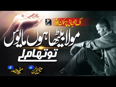 Heart Touching Kalam | Tanha Hun Men - Hasbunallah | Atiq Ur Rehman | Peace Studio | Official Video
