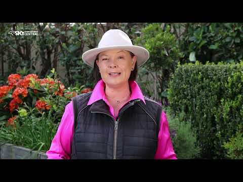 BRED TO WIN EP 13 2025 - WHOLE SHOW