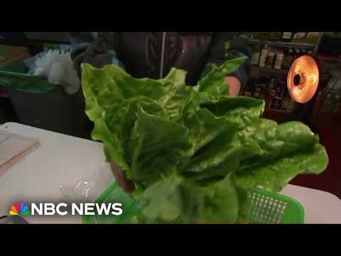 Parasite outbreak linked to lettuce spreads across U.S. 