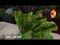 Parasite Outbreak Linked To Lettuce Spreads Across U S