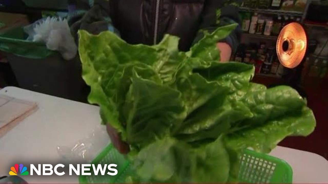 Video: Cyclosporiasis outbreak under investigation, linked to lettuce in 34 states